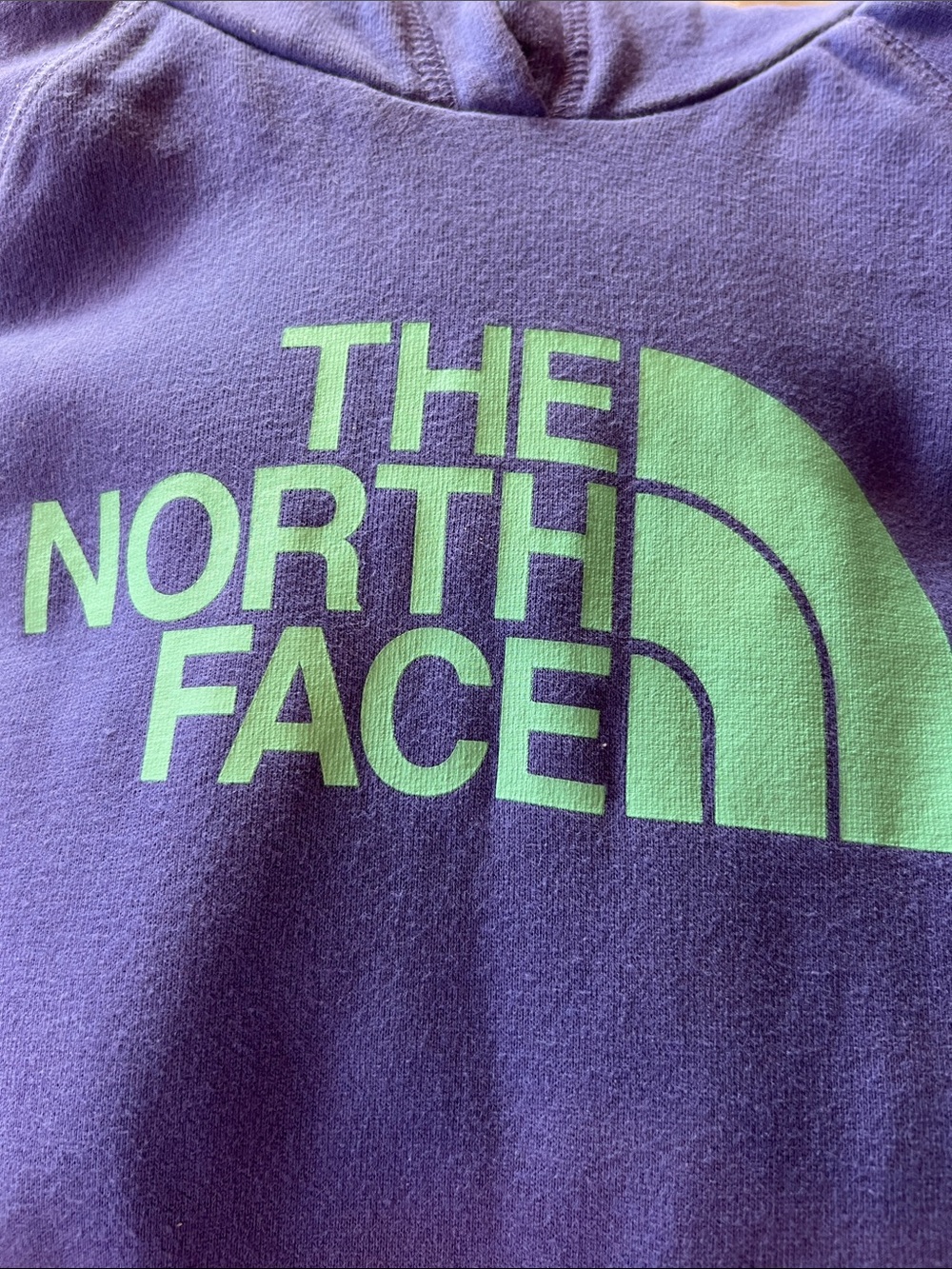 The North Face Men's Lavender Crewneck Sweatshirt with Mint Logo